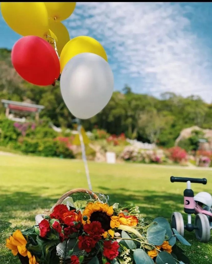 2023年厦门自由行热门攻略,厦门春节旅游攻略自由行最佳路线