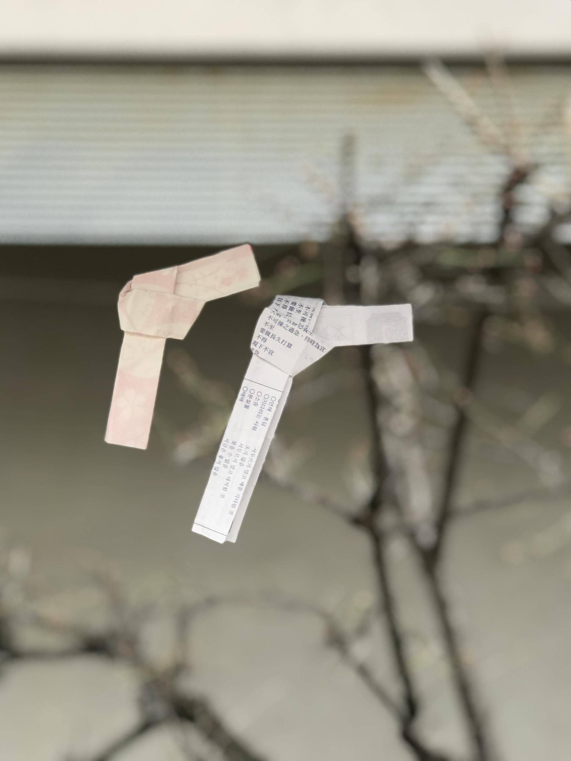 日本关东线8日游攻略,日本关东7天自由行攻略