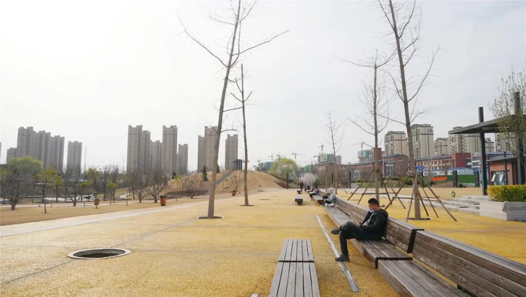 郑州免费游玩公园推荐,郑州新公园开放了吗