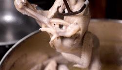 蒙城椒麻鸡与新疆椒麻鸡哪个好吃,蒙城椒麻鸡哪一家好吃