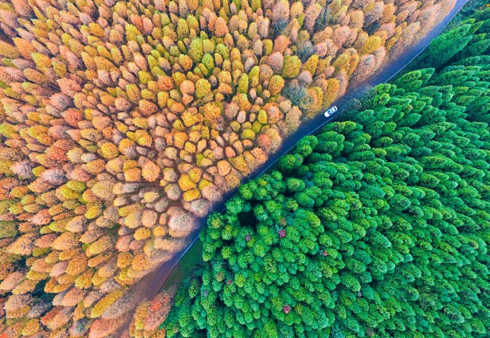 重庆之旅怎么样,重庆避暑5日游攻略从南川开始