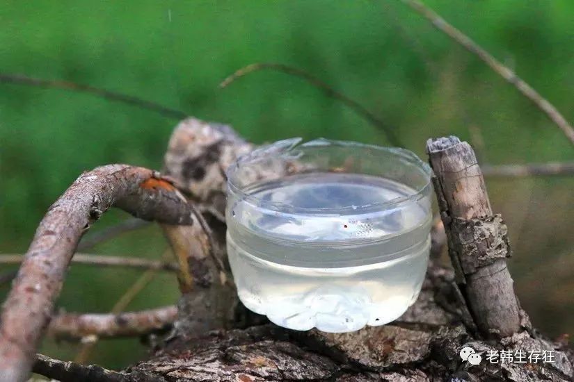 沙漠求生取水技巧,生存狂逃生技巧