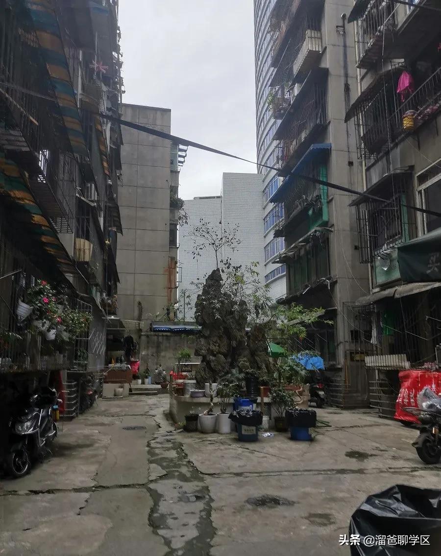 成都最适合买的小学学区房,成都实验小学对应楼盘