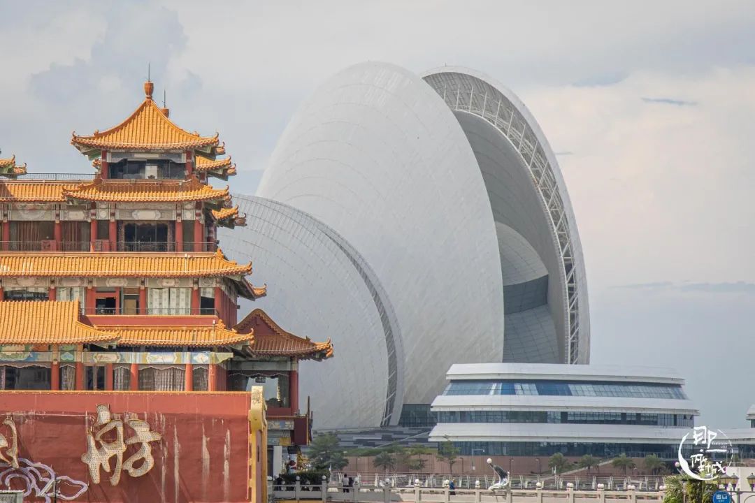 我去了最适合谈恋爱的珠海，回来却还是个单身狗