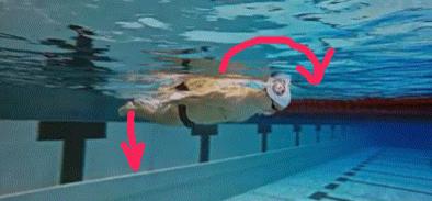 游泳滚翻转身,游泳前空翻练习