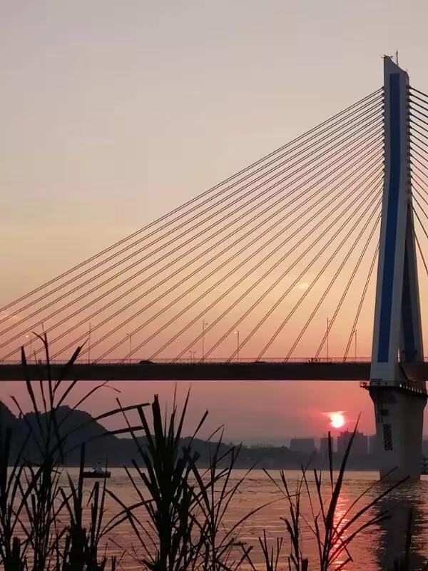 手拍世界完整版视频,手拍世界作品专集