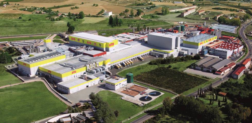 pascual西班牙酸奶,pascal西班牙