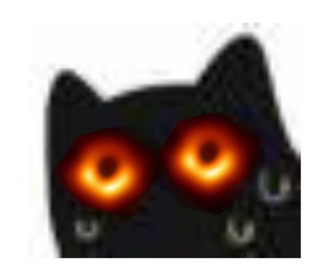 csgo皮肤不使用问题,csgo皮肤没有怎么办