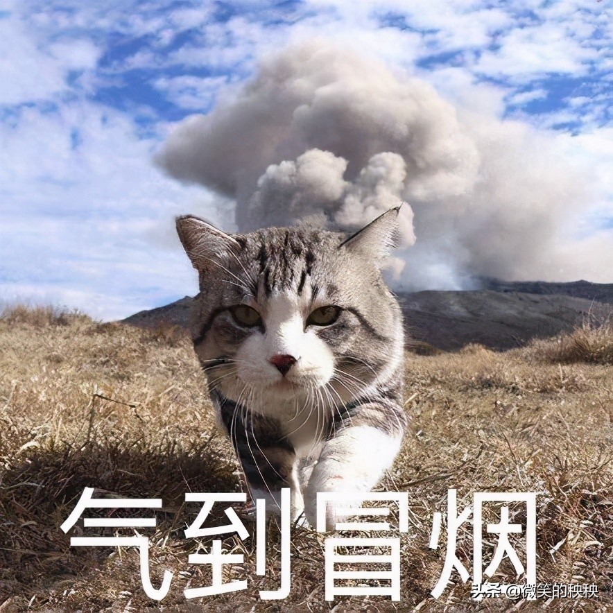 战痘经验之谈,战痘十年我是如何把痘痘治好的