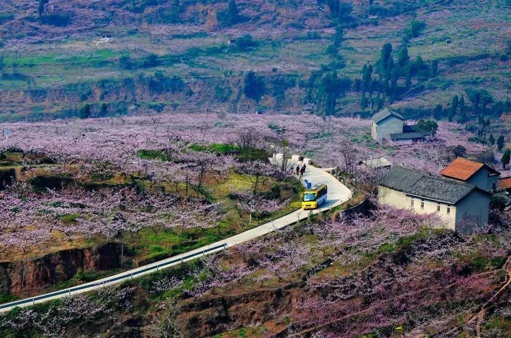 成都拍了拍你,一亿成都粉get心动讯息