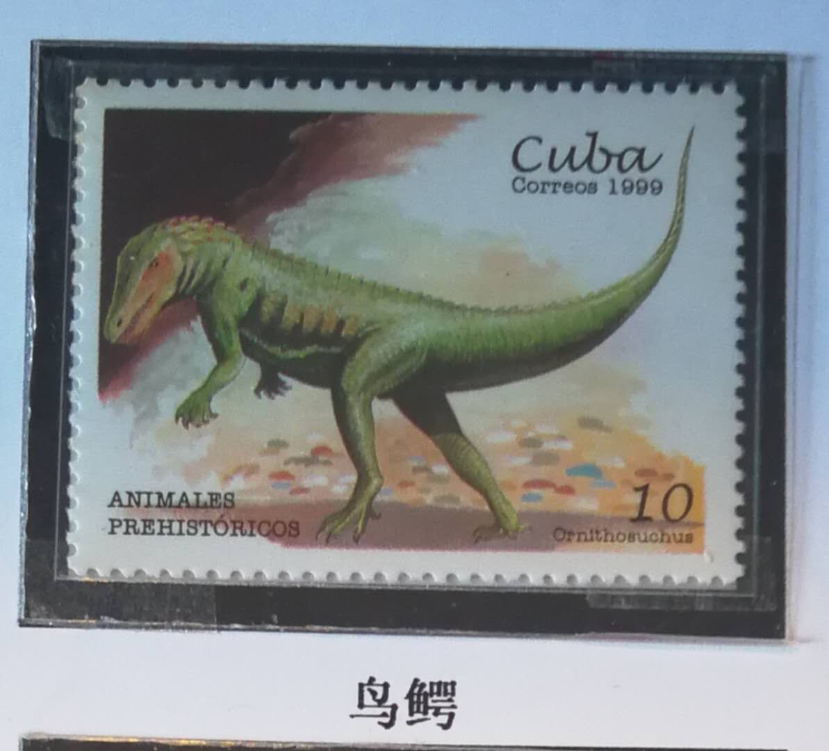 恐龙时代恐龙的最强霸主,恐龙称霸时间有多久