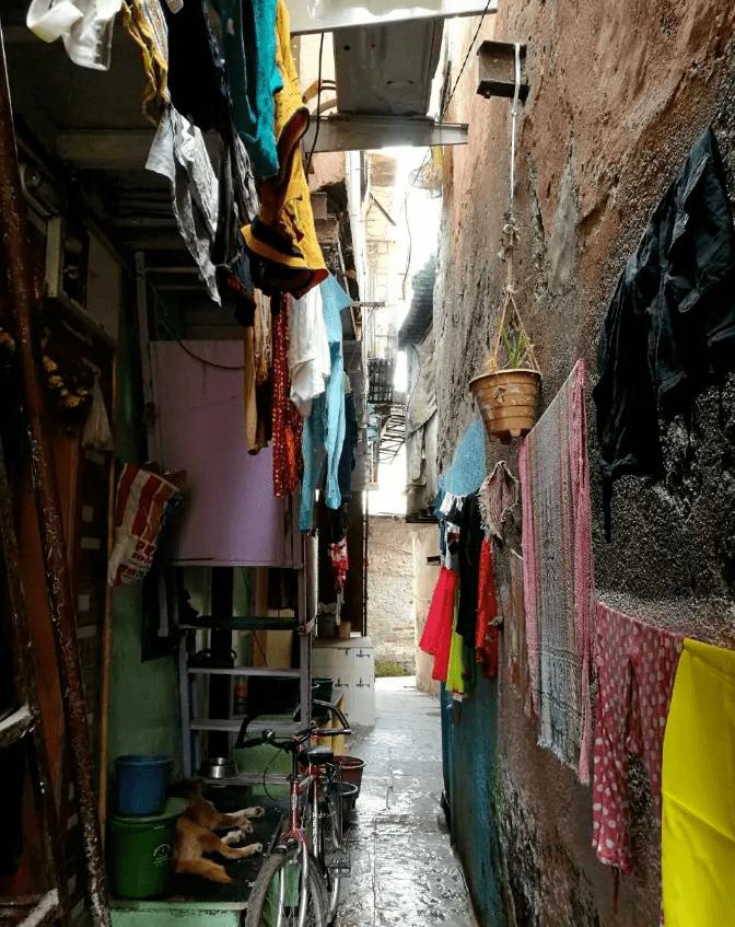 瞒不住了？！疫情最大的黑洞，这个国家可能导致疫情爆发