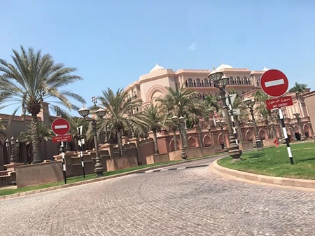 十二生肖对应的幸运植物是什么,十二生肖各属相的幸运植物