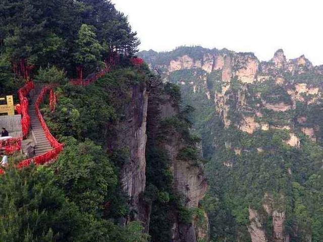 有哪些原始森林公园可以去玩,世界森林公园美景视频