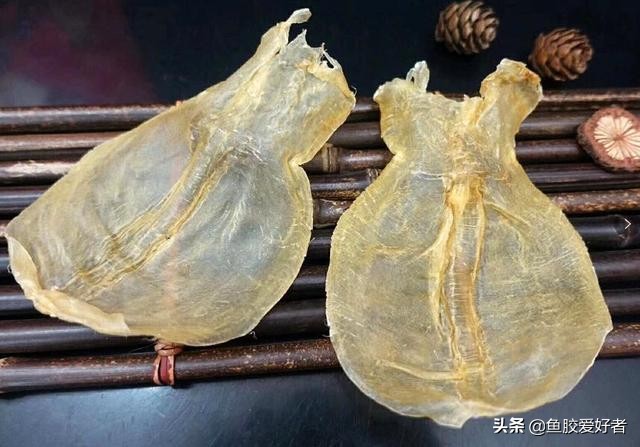 花胶和花胶的区别图片,假花胶与真花胶有什么区别