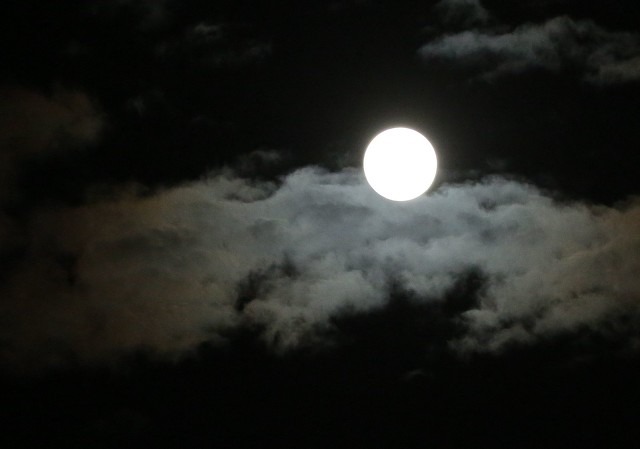 月缺月圆月常在诗句,有关月缺月圆的诗句