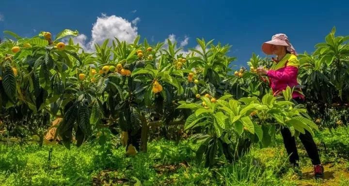 成都4天3夜旅游攻略,成都出发九寨沟川西四日小环线