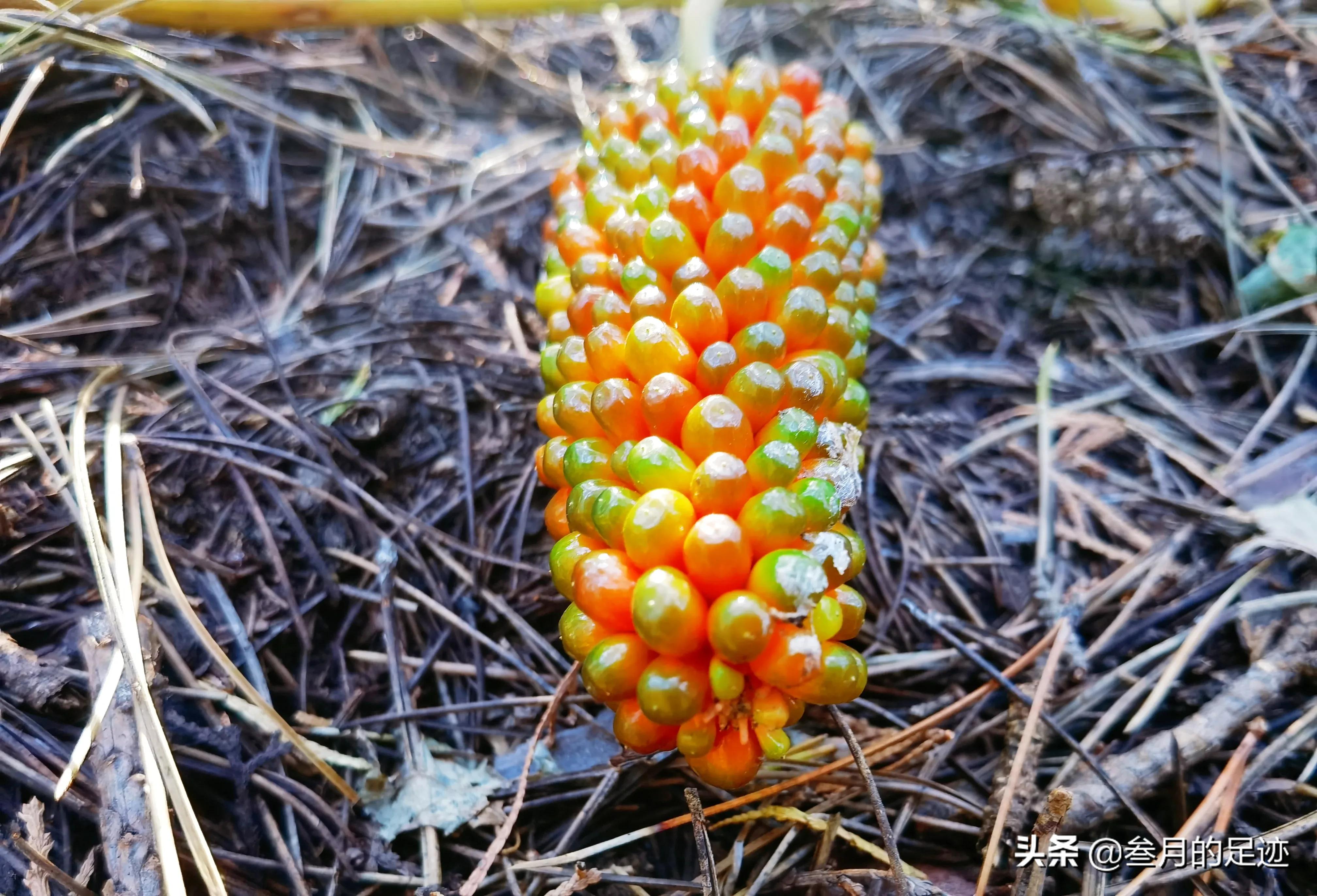 北京房山免费景点，登山徒步怪石山，领略大自然的鬼斧神工之美