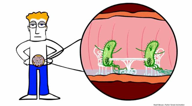 如何预防念珠菌,如何根治顽固的念珠菌