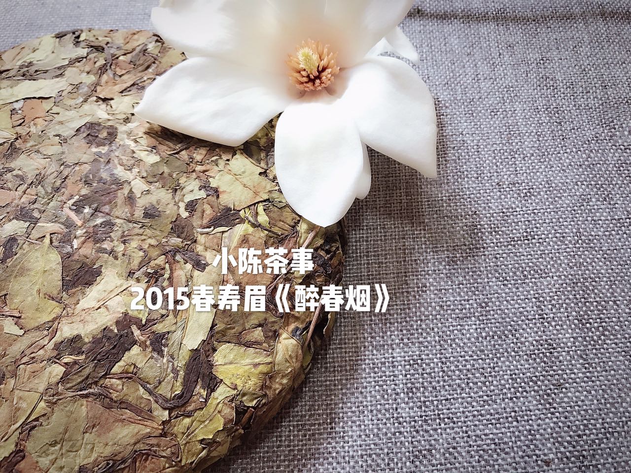 三分钟解读新白茶和老白茶的区别,白茶老白茶怎么选