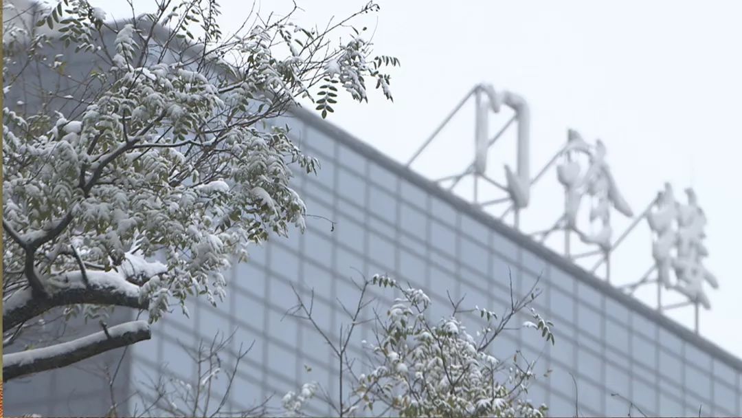 30周早产儿一天体重增加多少,30周早产2.5斤一切正常