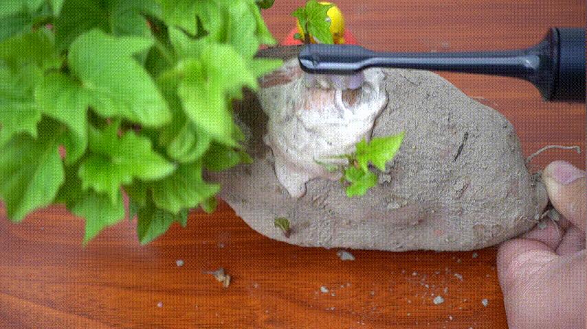 米家声波电动牙刷t700测评,米家电动牙刷t700测评