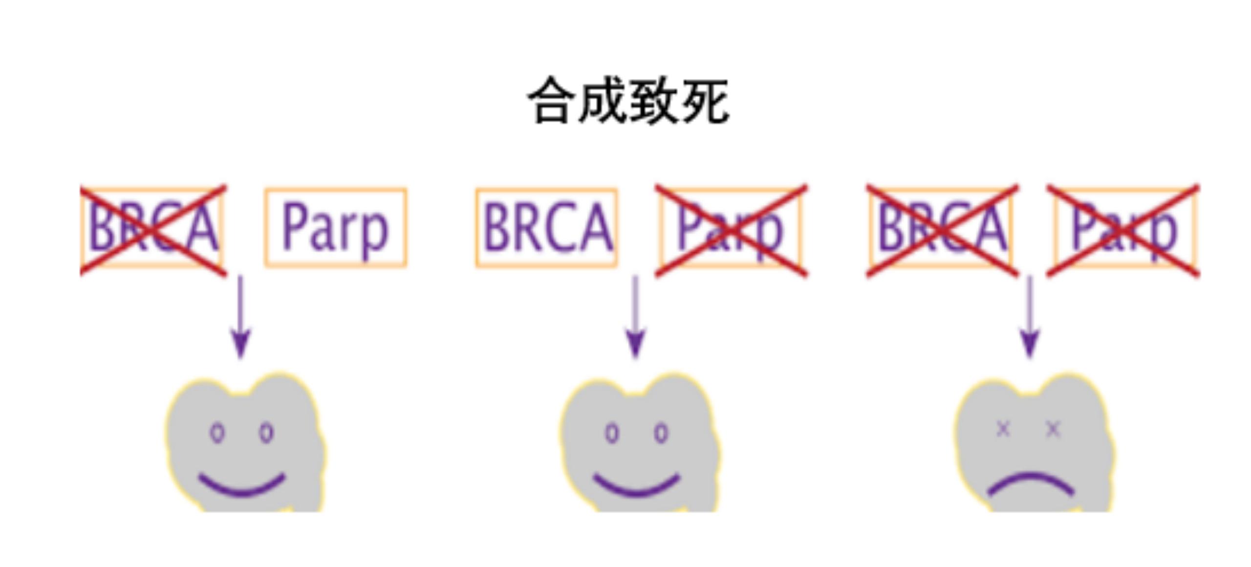 卵巢癌基因检测与靶向治疗与化疗,卵巢癌基因检测靶点