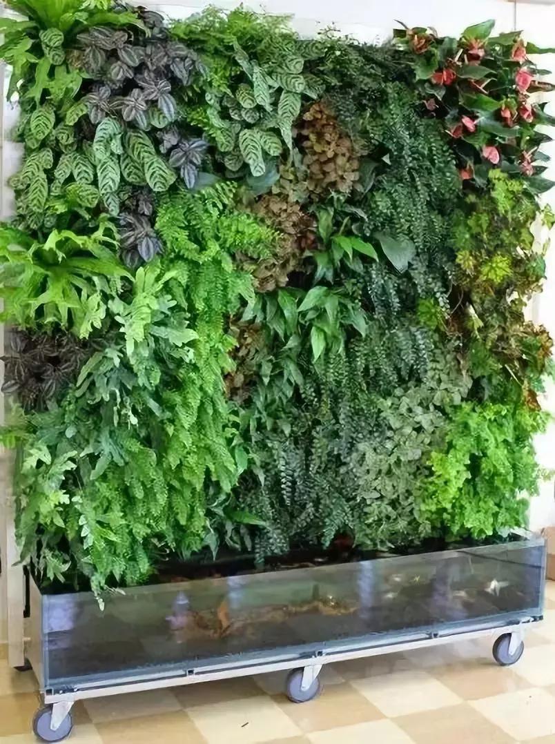 植物屏风隔断效果图,小型屏风