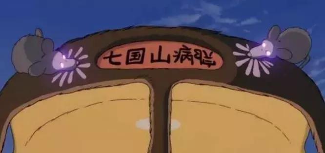 龙猫最久能活多久,龙猫30秒