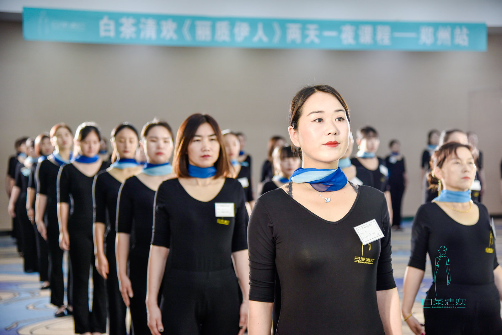 白茶清欢感恩遇见,白茶清欢山东