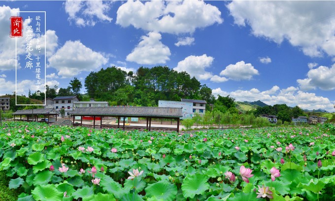 渝北周边采摘推荐,渝北茨竹附近采摘园