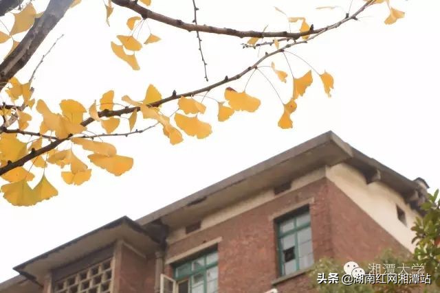 湘潭大学校史图片,广东湘大校友庆祝湘潭大学双一流