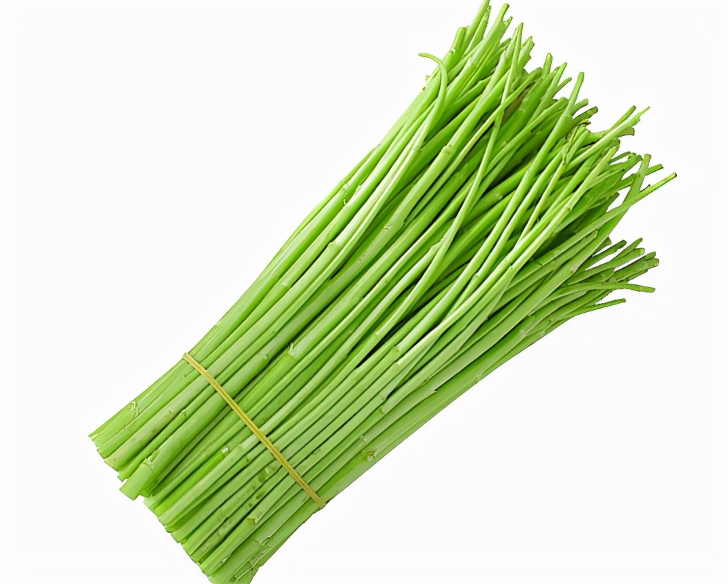 藜蒿和艾草一样吗,长得像艾草的藜蒿