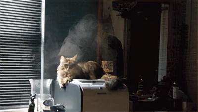 如何才能拥有好的皮肤,怎样才能拥有健康的皮肤