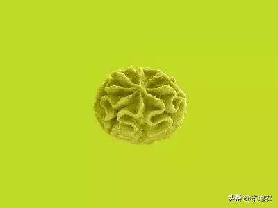 珍妮曲奇需要预热吗,提前准备七夕礼物热榜