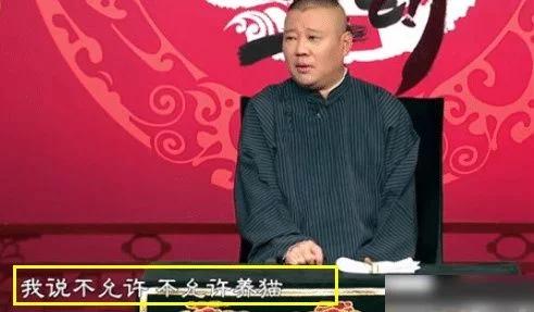 德云社不允许养猫，郭德纲道出原因，原来老鼠还能当“财神”？