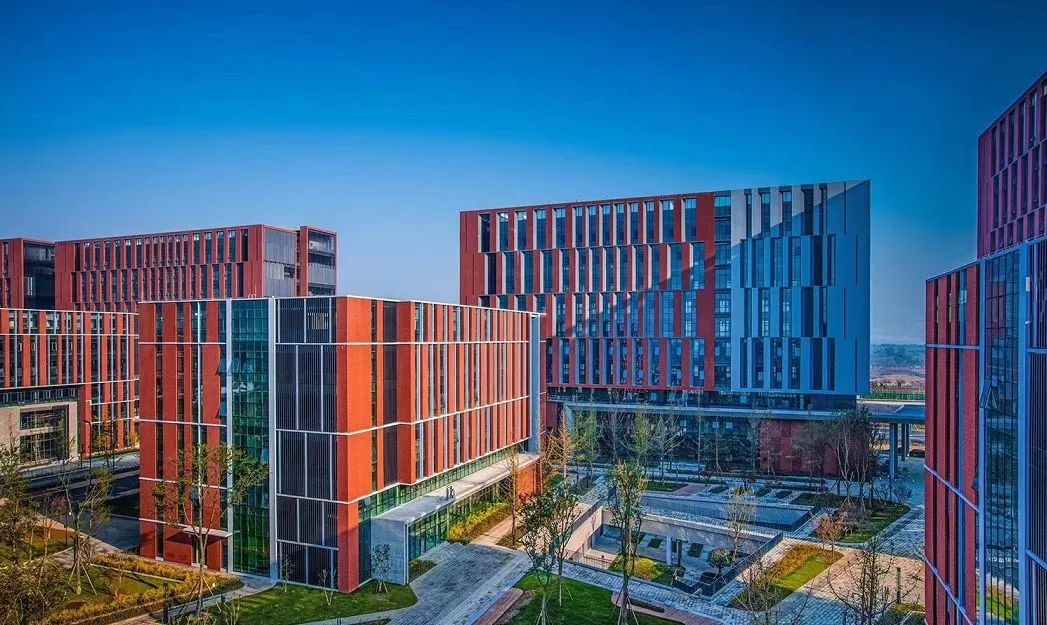 高新创业业创高新丨今天，新津在这里取经……