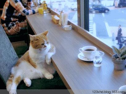 cheers在英语中怎么用,上厕所用经典词语怎么说