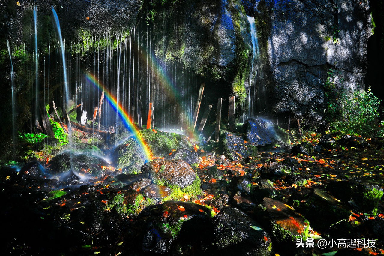 无版权免费视频素材网站手机版,免费好用的无版权图片素材库