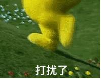 最值得买的lv包包推荐,入门级轻奢侈品牌包包推荐