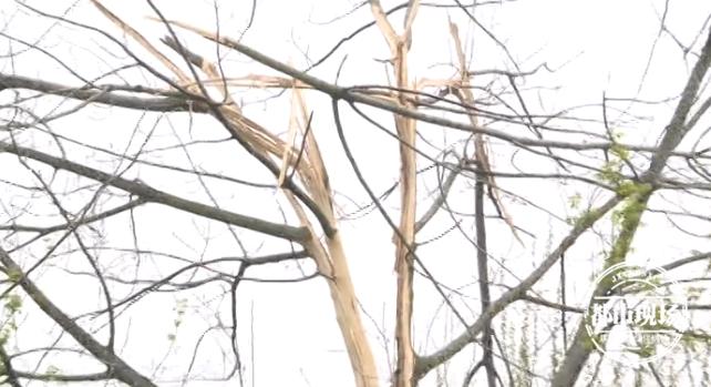 天空突然轰隆隆的一声巨响,天空突然雷鸣电闪