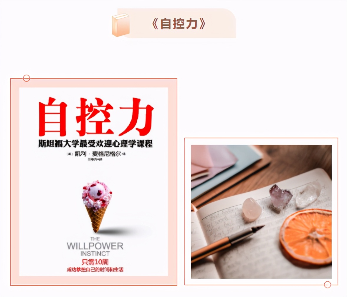 每日必读最好的十本书,推荐一生必读的十本书