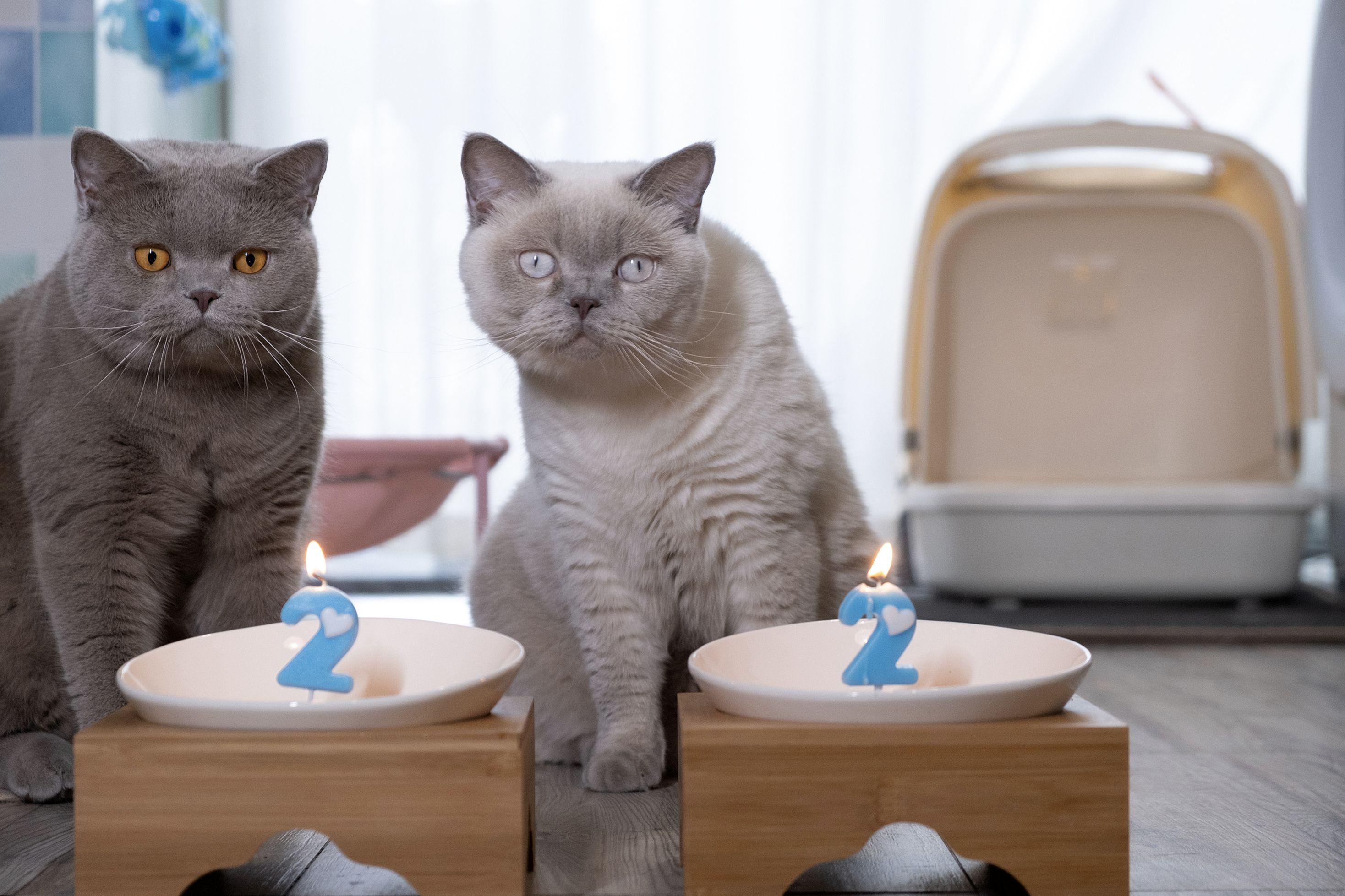 迟到的618好物推荐,618影像神器