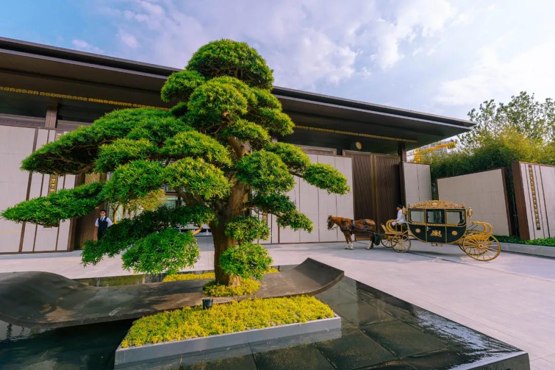 星辰大海追逐梦想,星辰大海奔赴山海