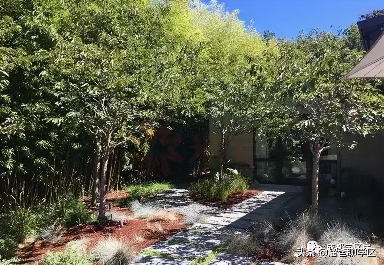 成都未来核心生活区,成都四十个板块