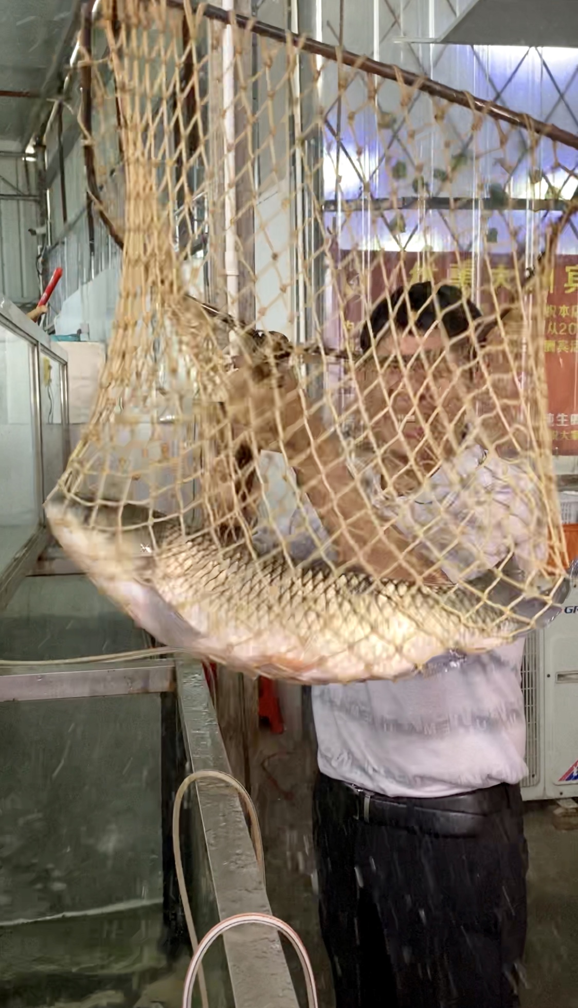 顺德火焰醉鹅家庭版,顺德老字号火焰醉鹅