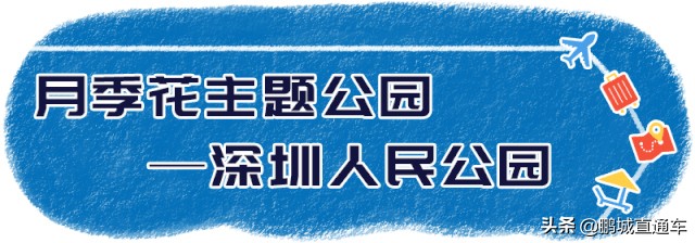 深圳小众主题公园免费,深圳所有景区