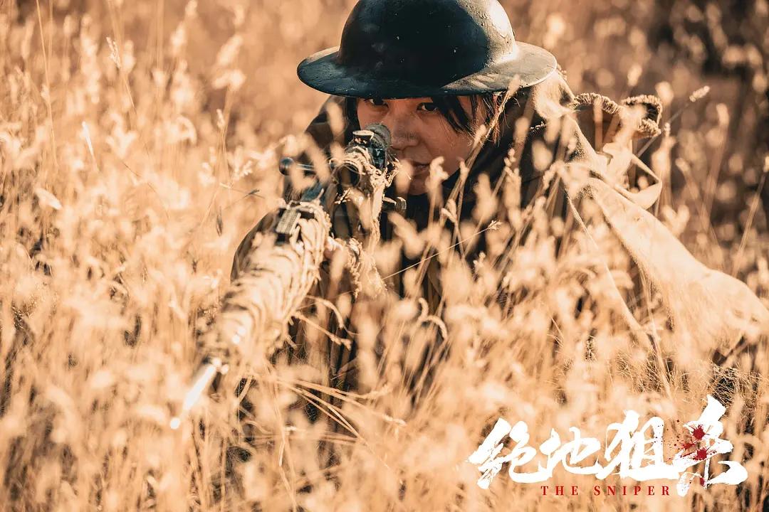 热度第一的电视剧,热度第一动漫