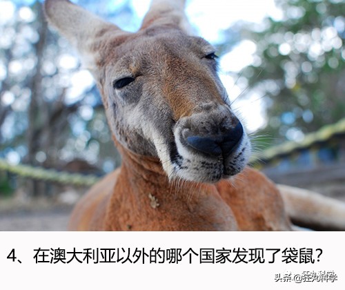 爱迪生出的入职考试，25个人里只有1个能通过，你能答对几题？