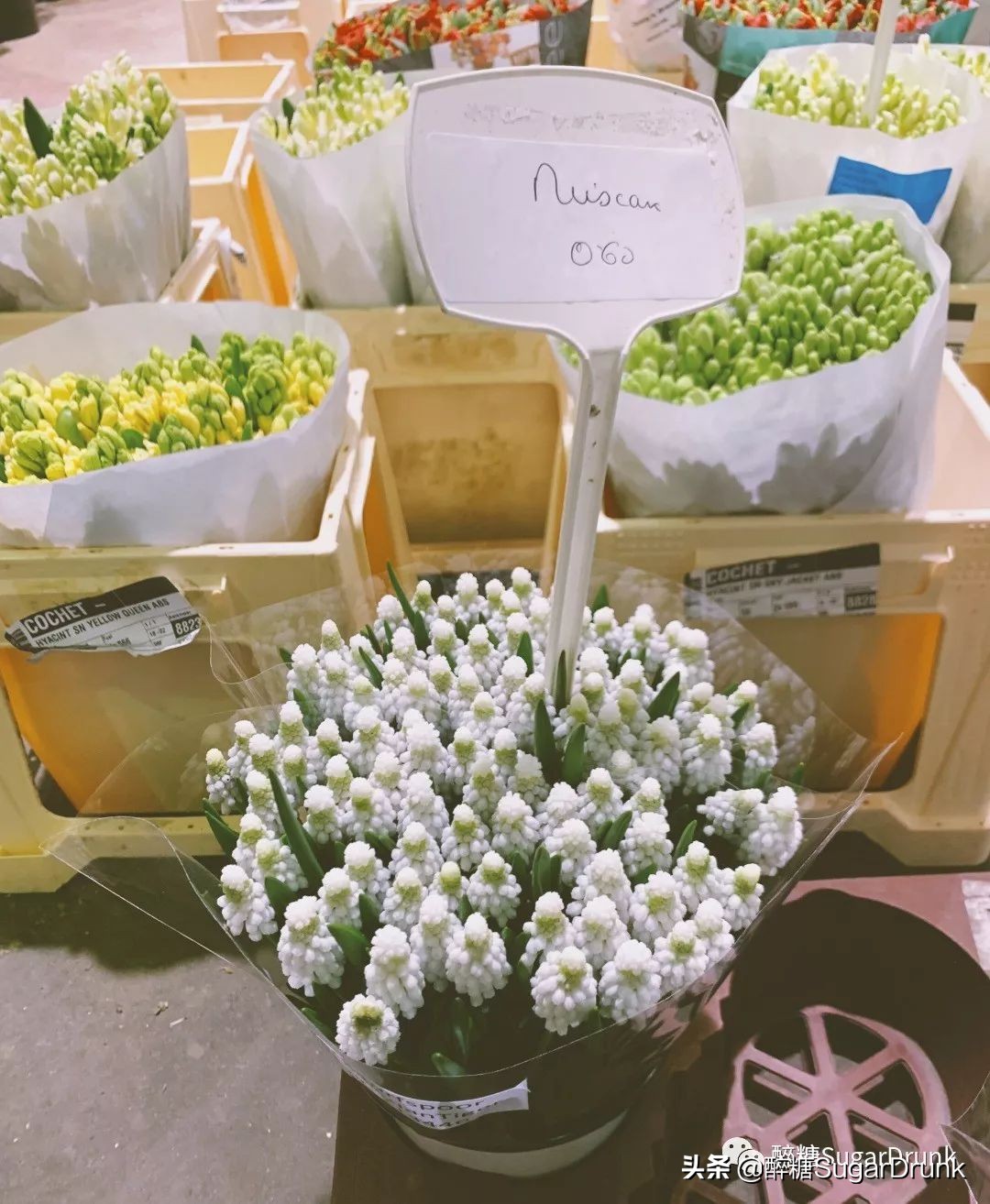 欧洲最大小商品批发市场,欧洲最大批发食品市场